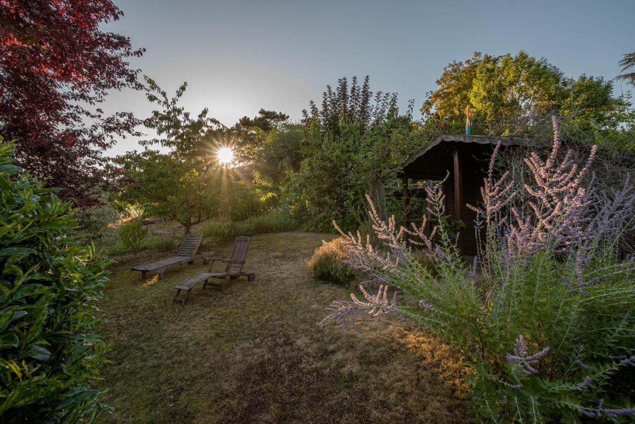 Ferienhaus Bis 10 Personen Und 2,5 Schlafzimmern Geisenheim Esterno foto