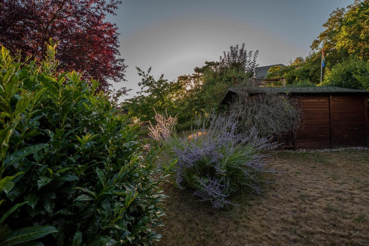 Ferienhaus Bis 10 Personen Und 2,5 Schlafzimmern Geisenheim Esterno foto