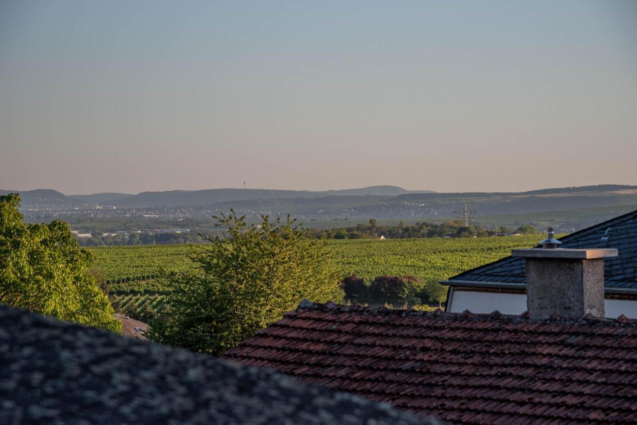 Ferienhaus Bis 10 Personen Und 2,5 Schlafzimmern Geisenheim Esterno foto