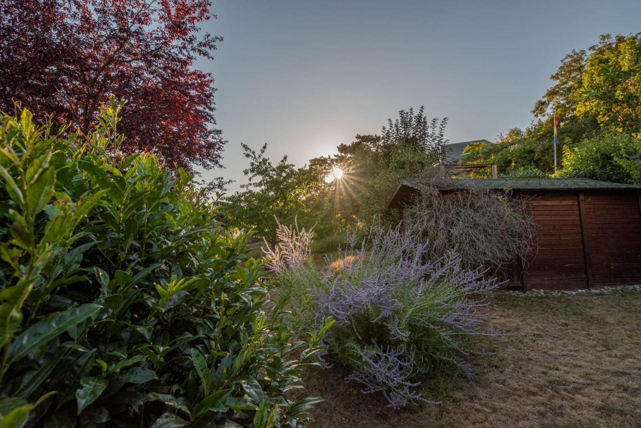 Ferienhaus Bis 10 Personen Und 2,5 Schlafzimmern Geisenheim Esterno foto